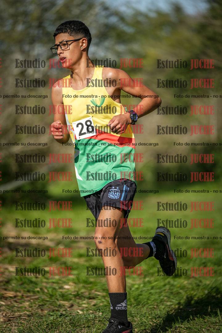 Fotos en el circuito