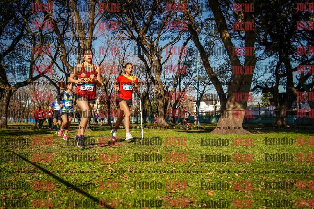 Fotos en el circuito