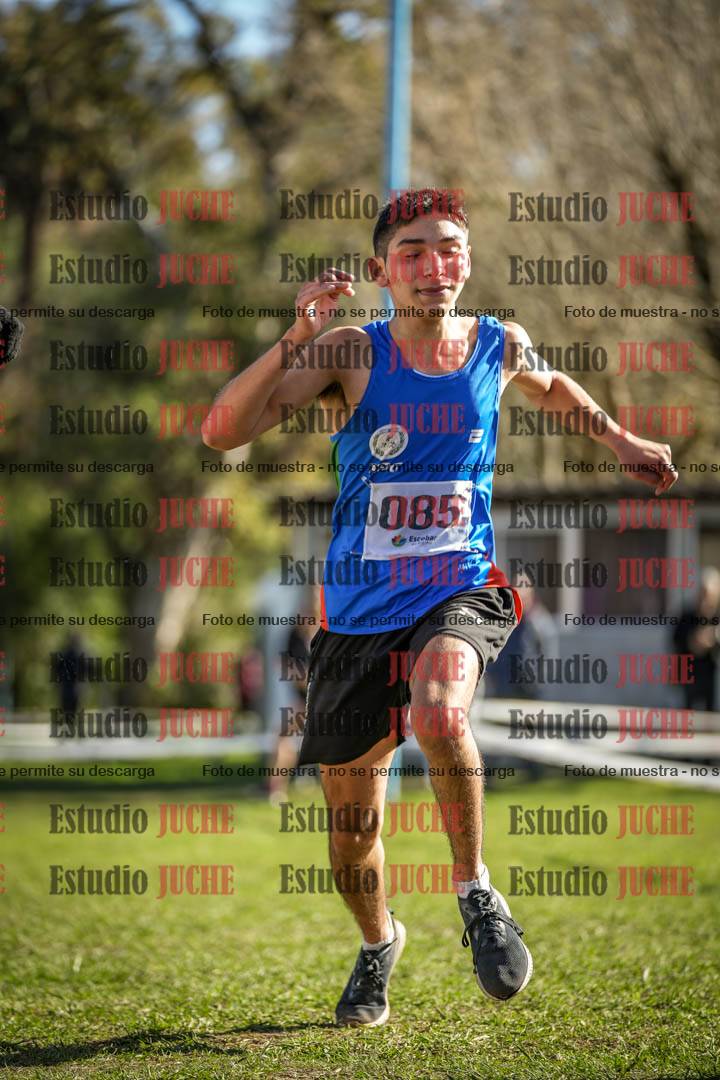 Fotos de la llegada del cross de 3000 m