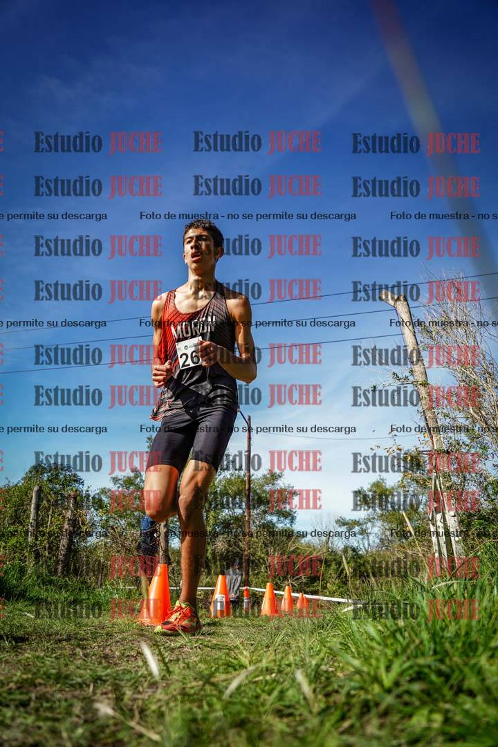Fotos en el circuito