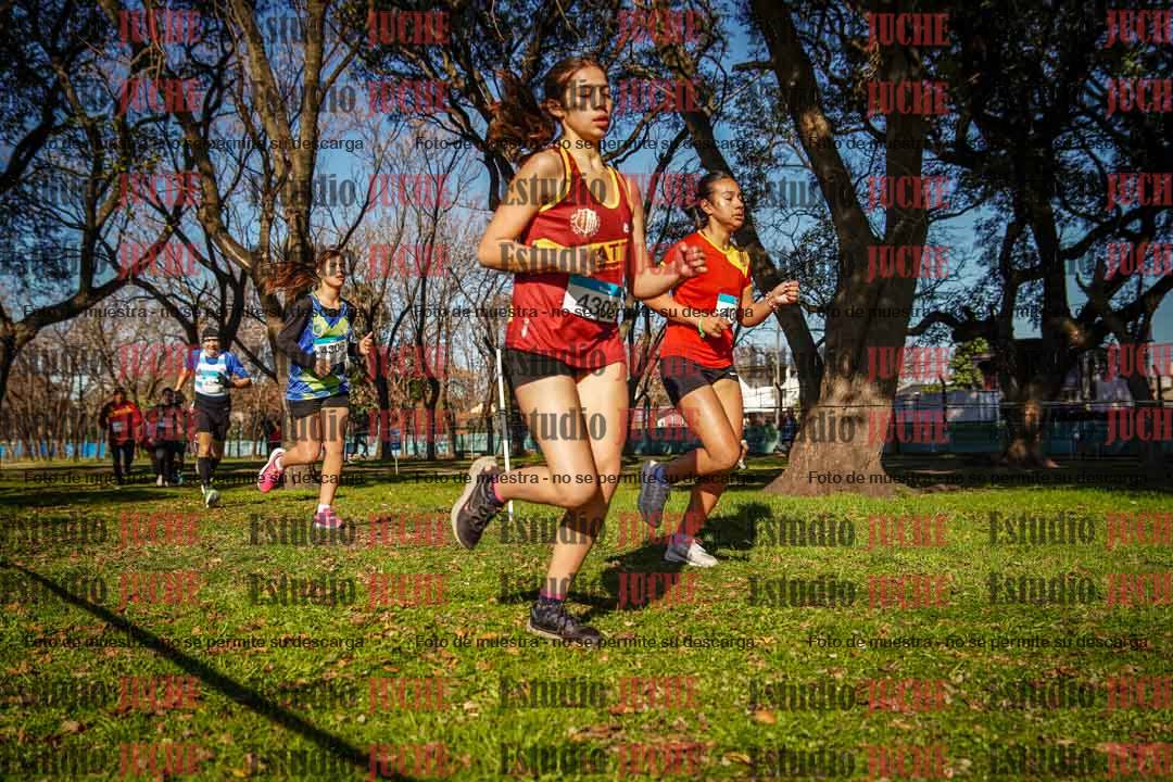 Fotos en el circuito
