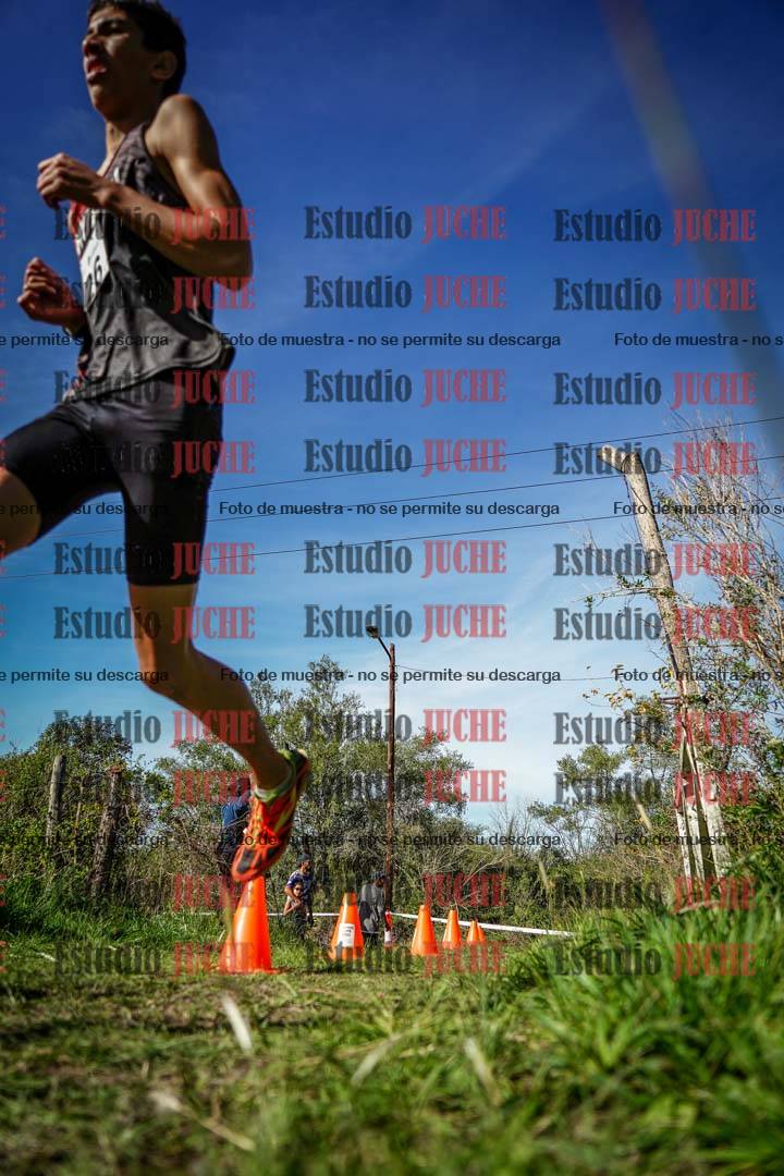 Fotos en el circuito