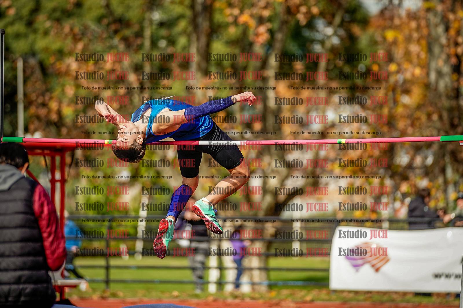 Fotos del salto en alto de varones