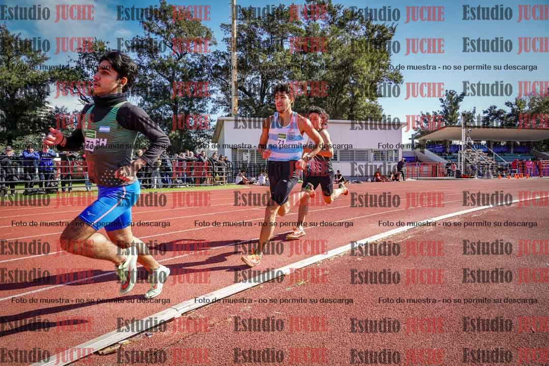 Fotos de los 800 m llanos de varones