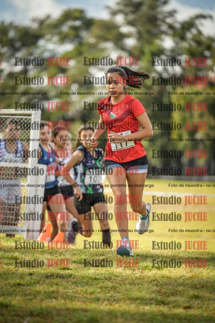Fotos en el circuito