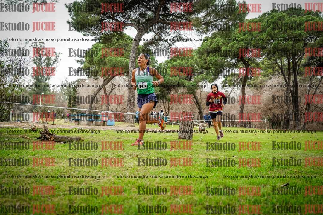 Fotos en el circuito