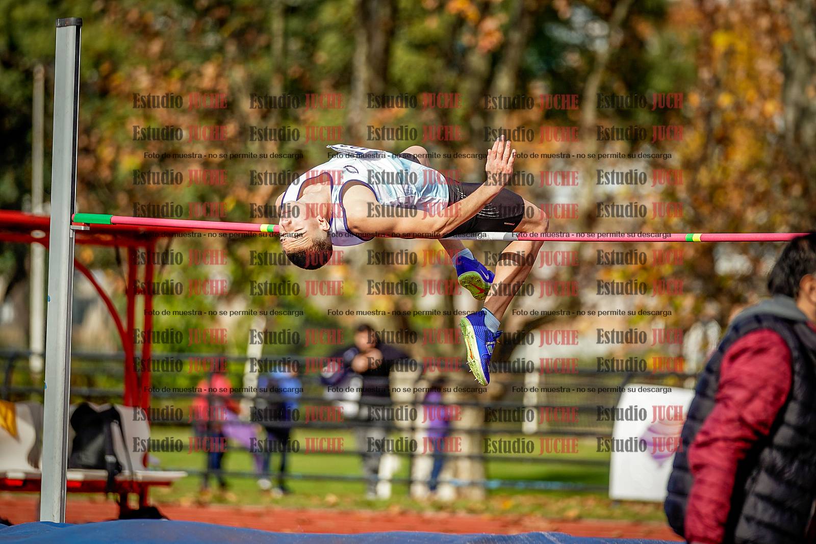 Fotos del salto en alto de varones