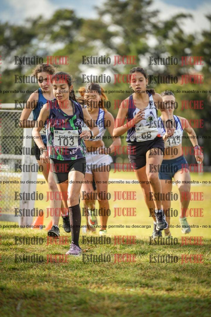 Fotos en el circuito