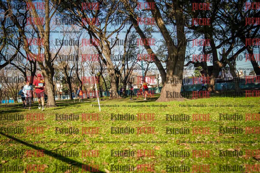 Fotos en el circuito