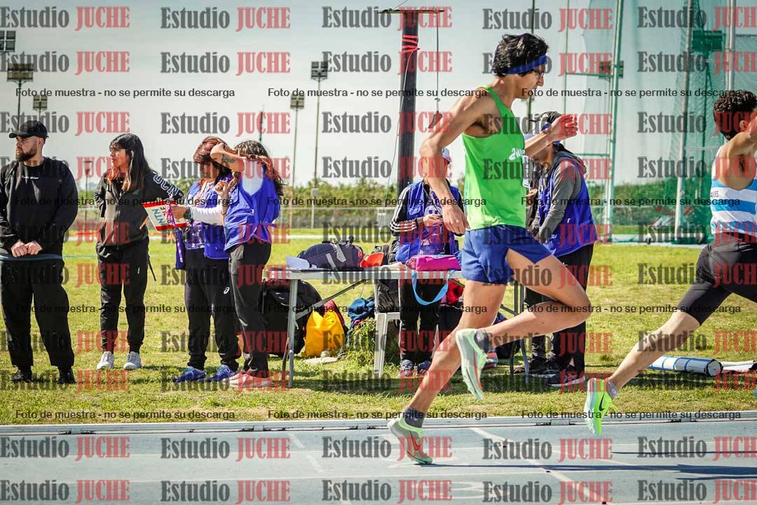 Fotos de los 800 m llanos de varones