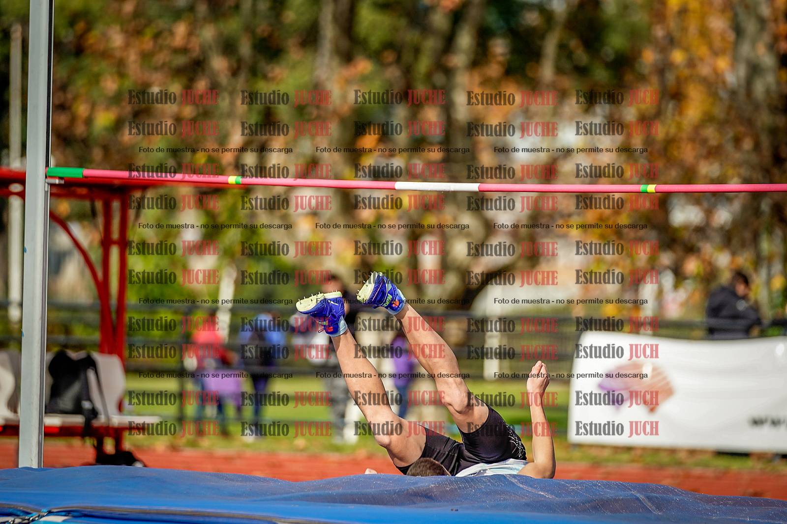 Fotos del salto en alto de varones