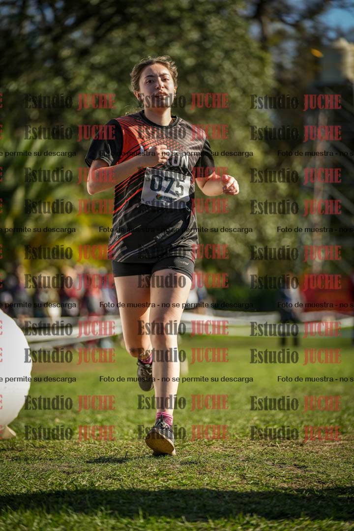 Fotos de la llegada del cross de 3000 m