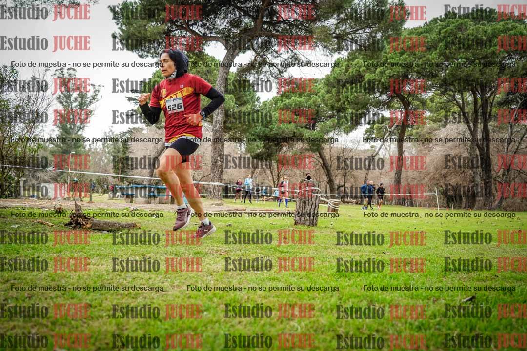 Fotos en el circuito