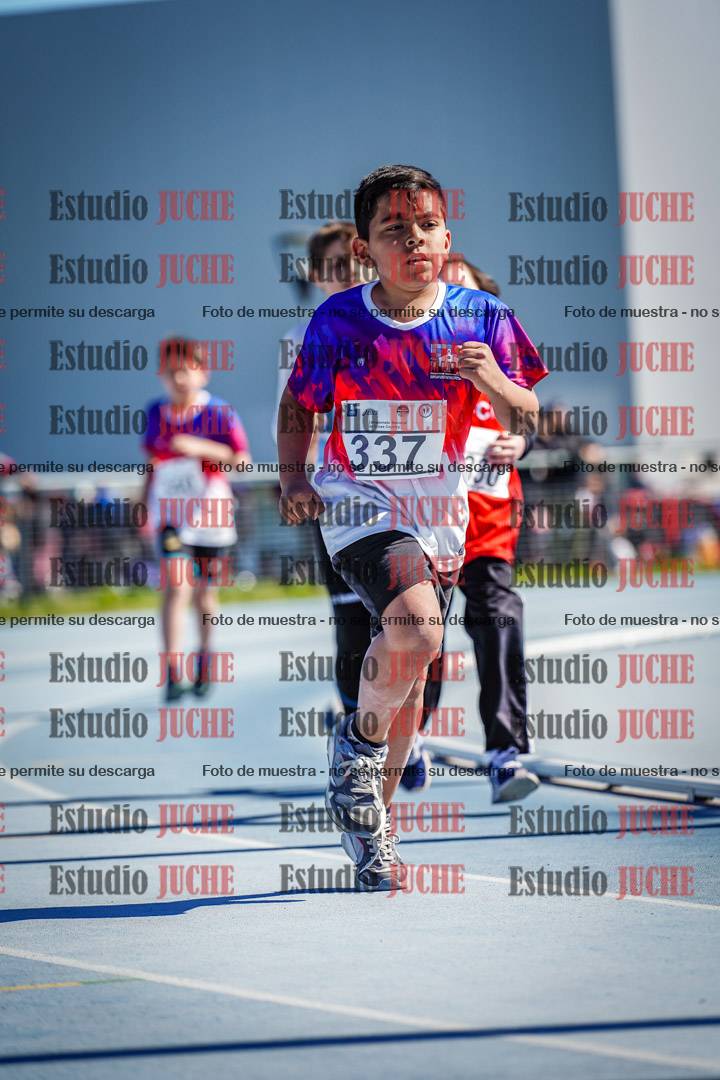 Fotos de los 1000 m llanos de varones