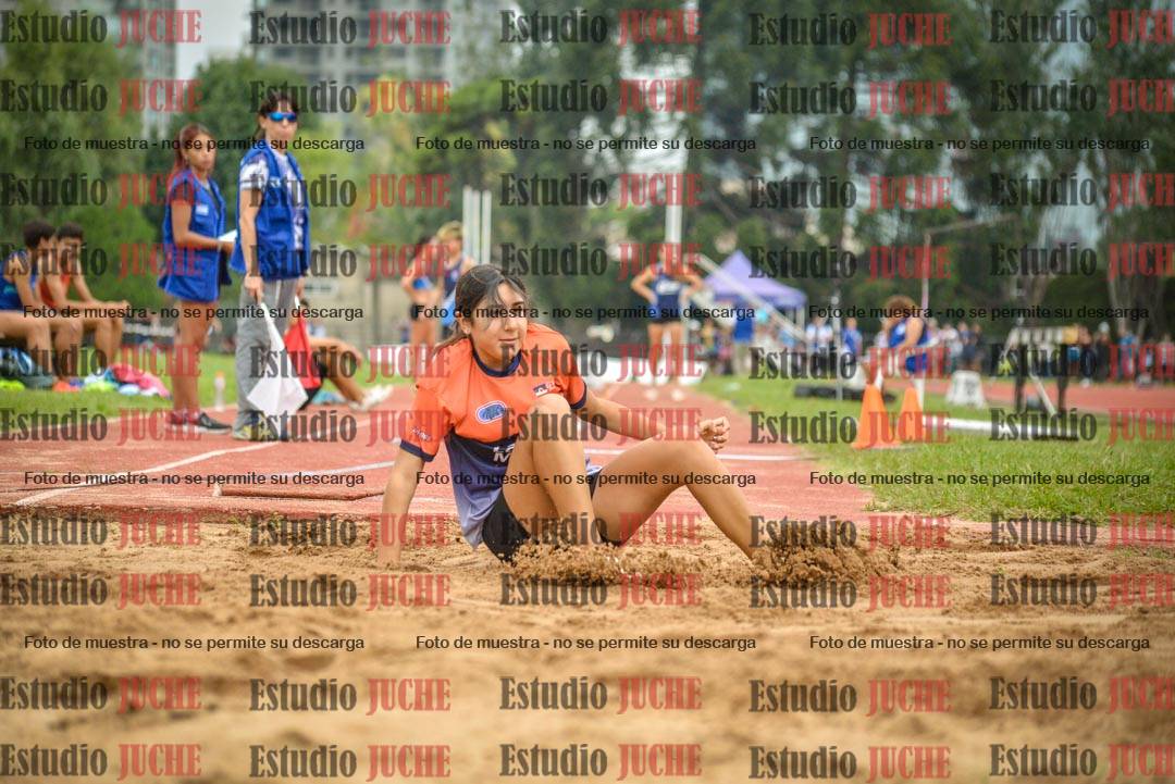 Fotos del salto triple - tabla de 8 y 10