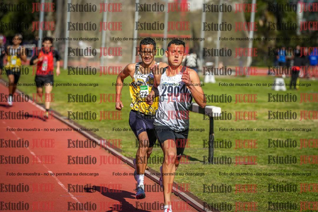 Fotos de los 800 m llanos de varones