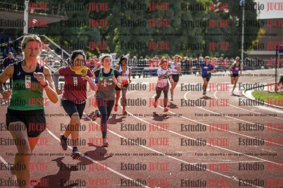 Fotos de los 800 m llanos de mujeres