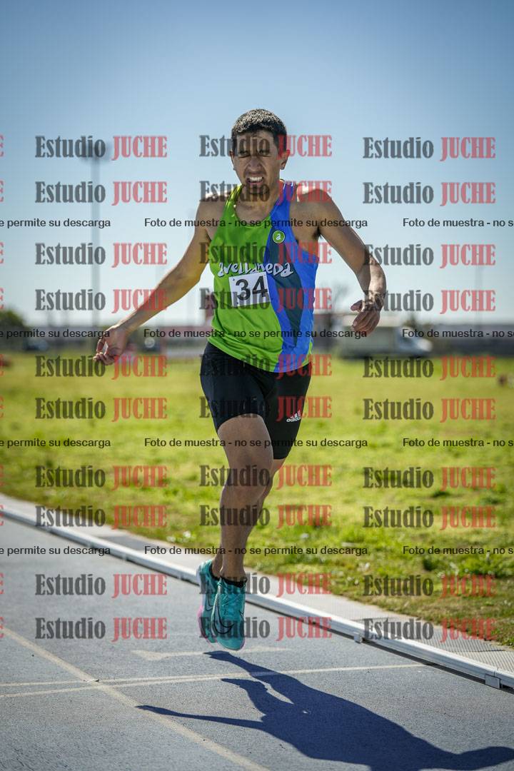 Fotos de los 800 m llanos de varones