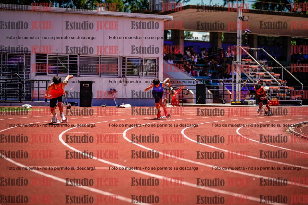 Fotos de los 400 m con vallas de varones