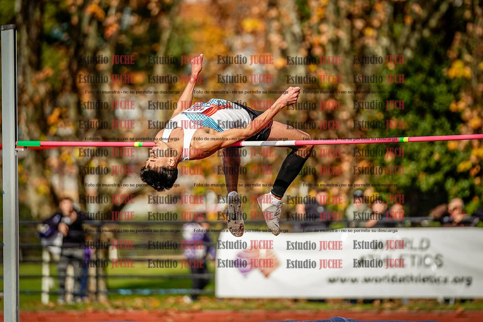 Fotos del salto en alto de varones