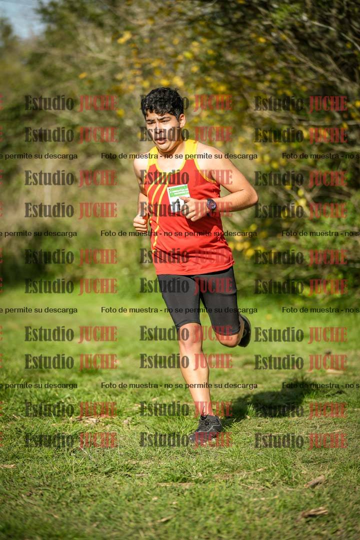 Fotos en el circuito