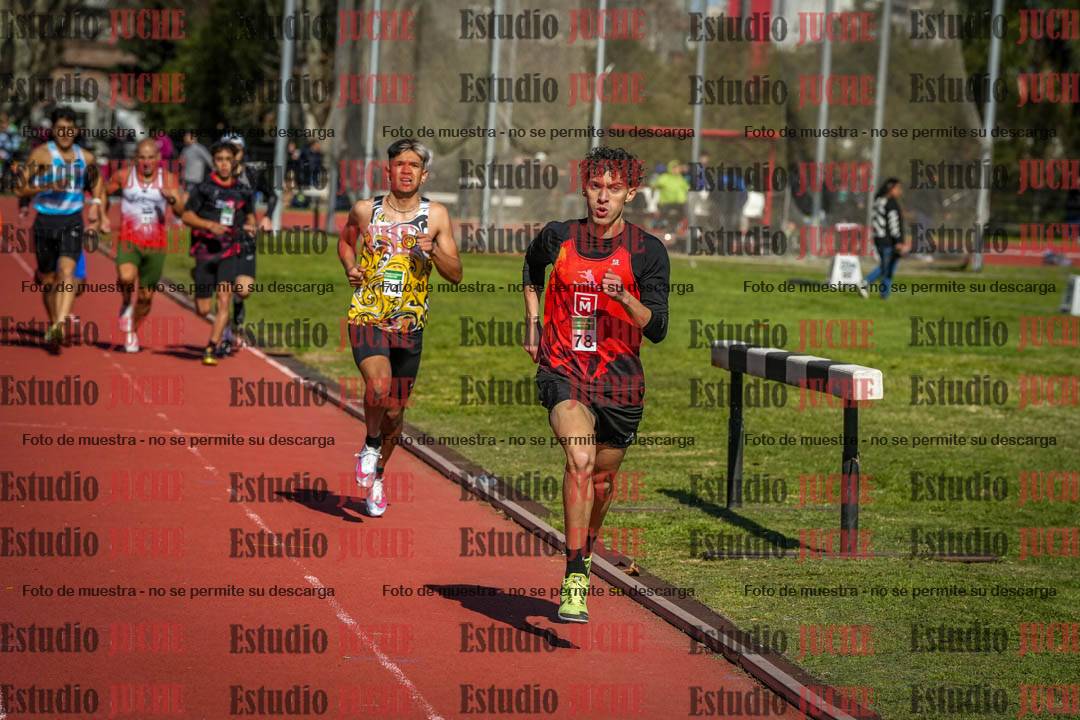 Fotos de los 800 m llanos de varones