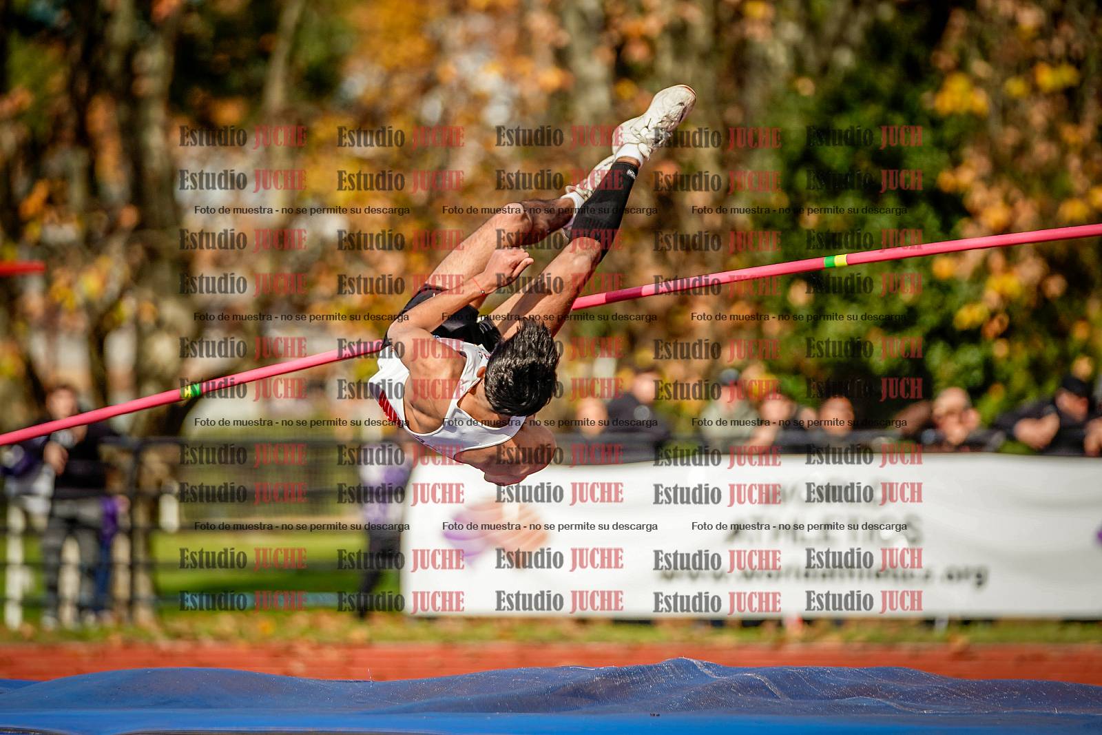 Fotos del salto en alto de varones