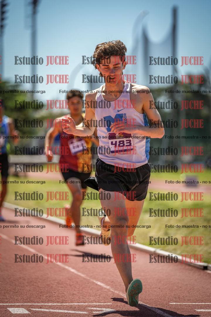 Fotos de los 800 m llanos de varones