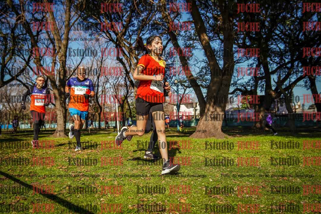 Fotos en el circuito