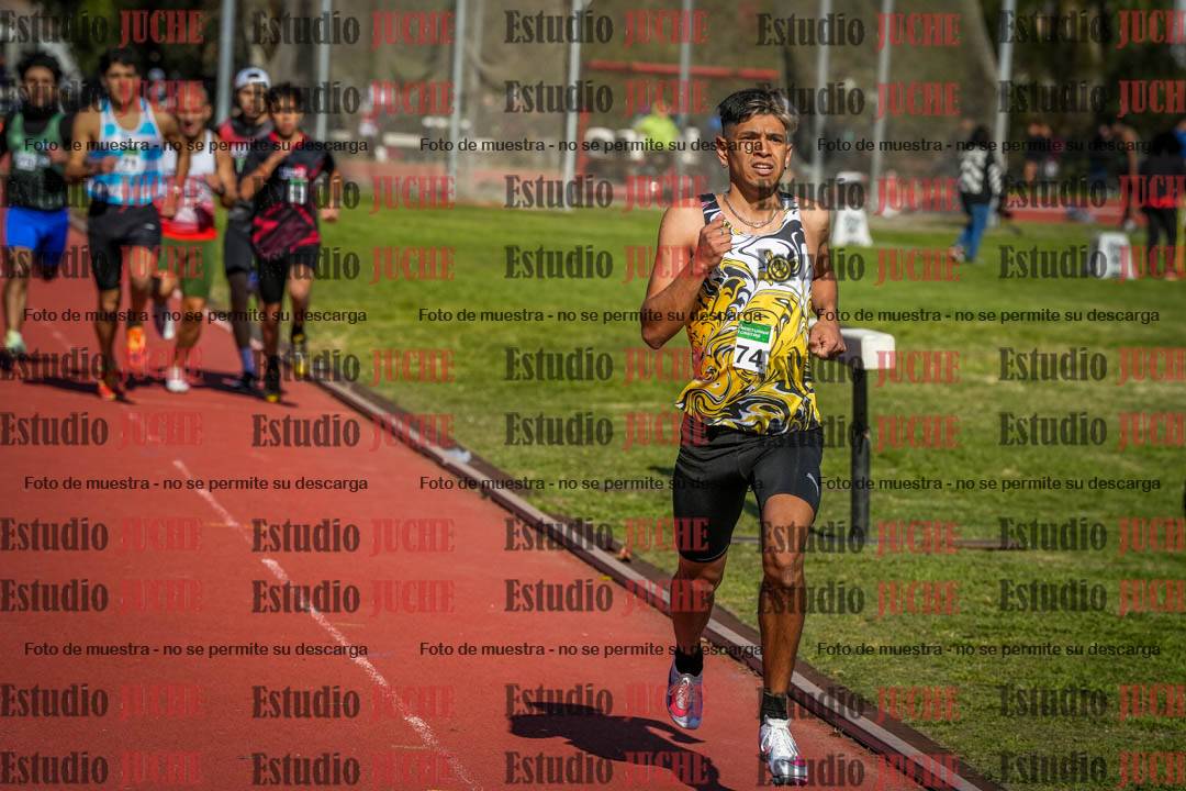 Fotos de los 800 m llanos de varones