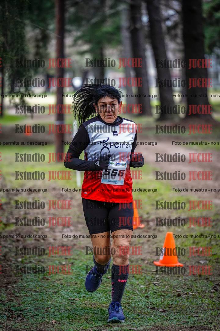 Fotos en el circuito