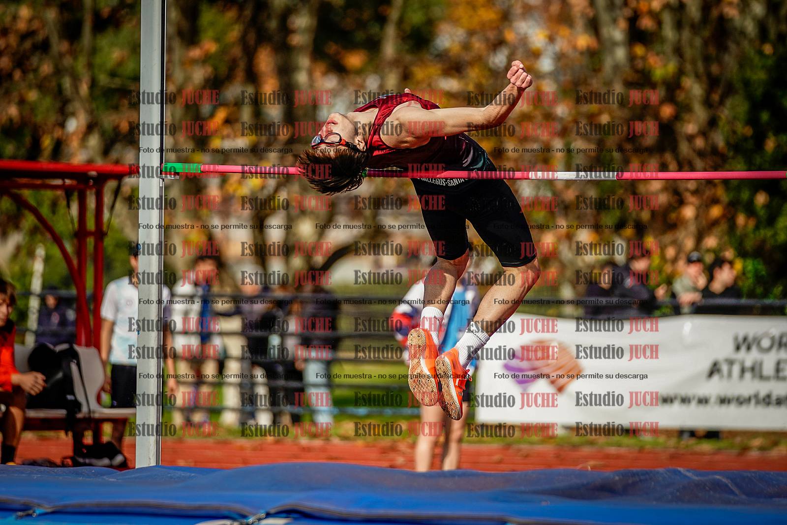 Fotos del salto en alto de varones