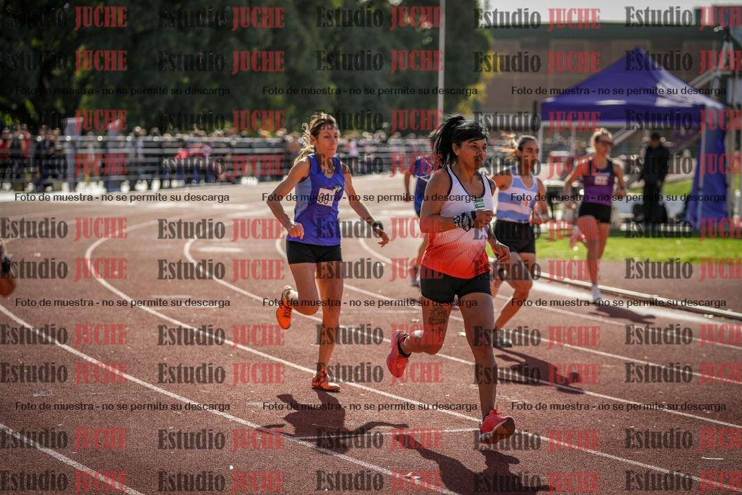 Fotos de los 800 m llanos de mujeres
