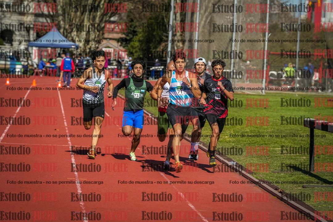 Fotos de los 800 m llanos de varones