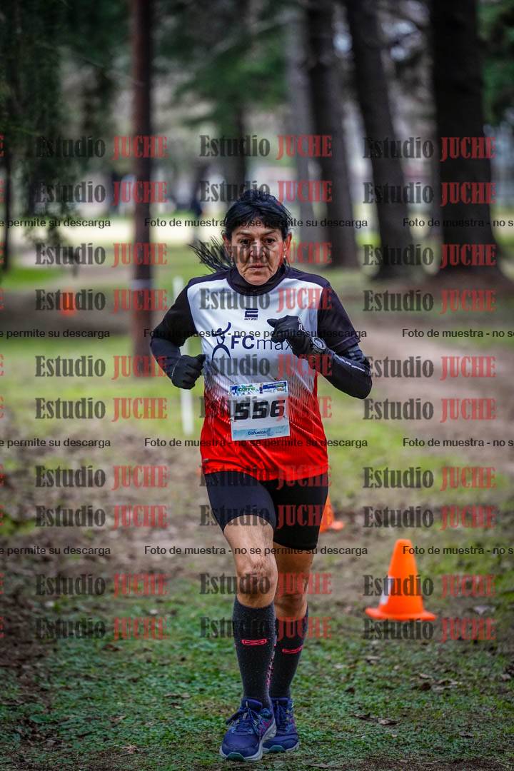 Fotos en el circuito