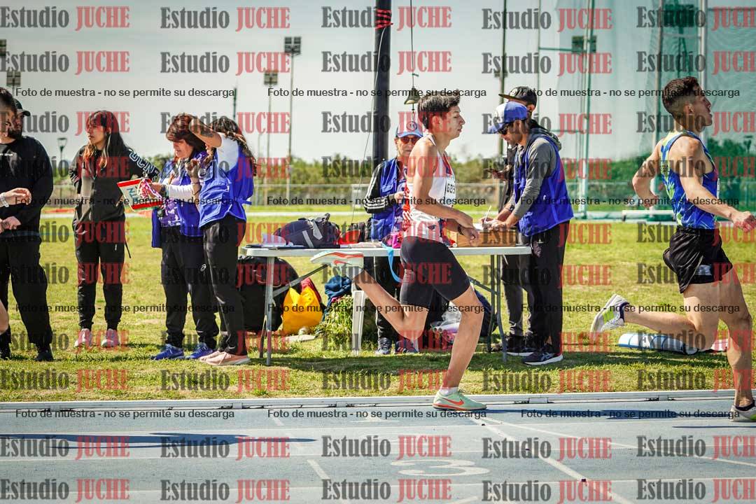 Fotos de los 800 m llanos de varones