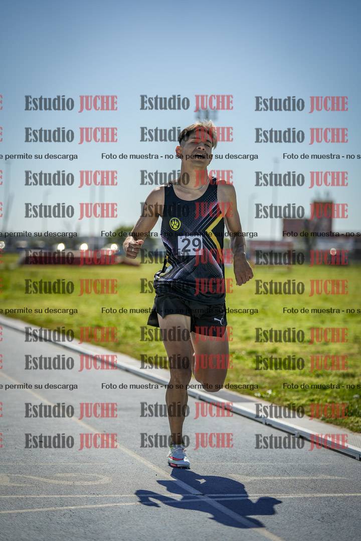 Fotos de los 800 m llanos de varones