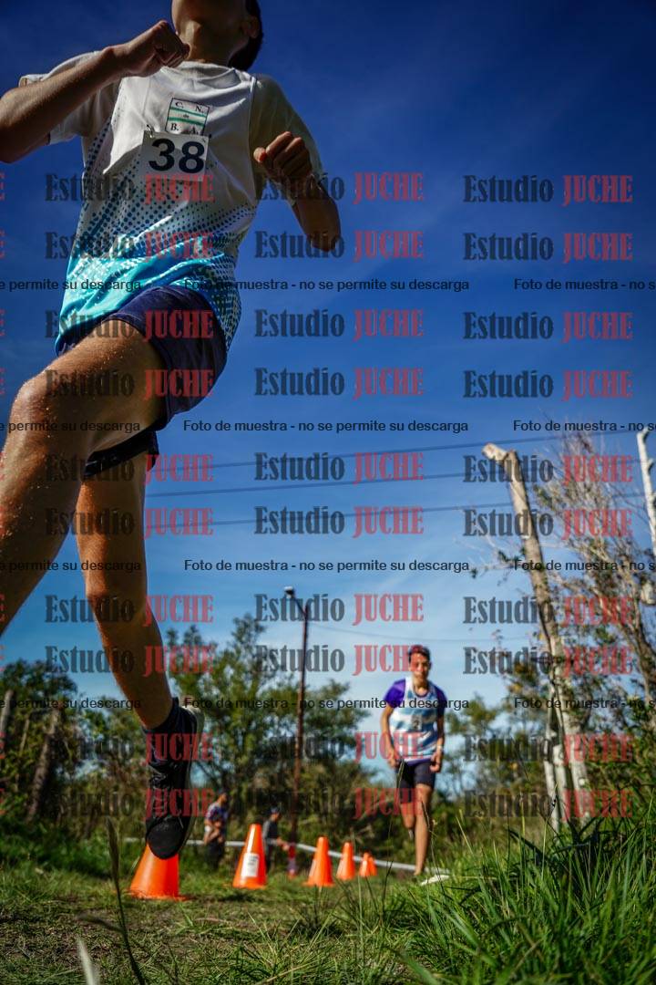 Fotos en el circuito