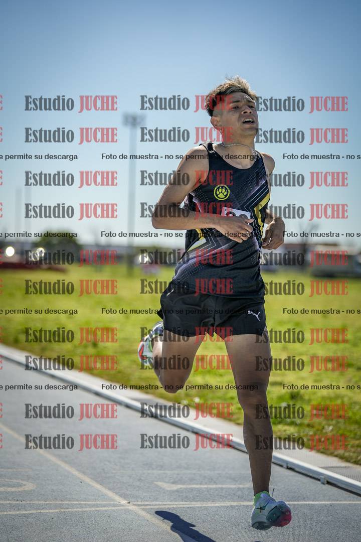 Fotos de los 800 m llanos de varones