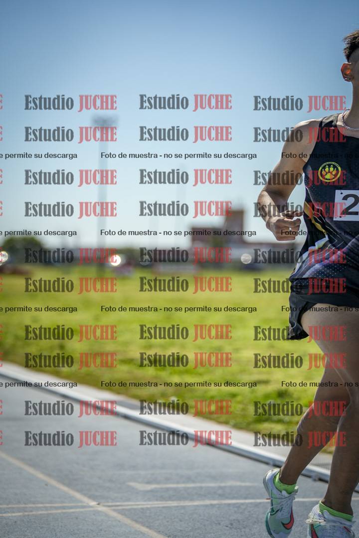 Fotos de los 800 m llanos de varones