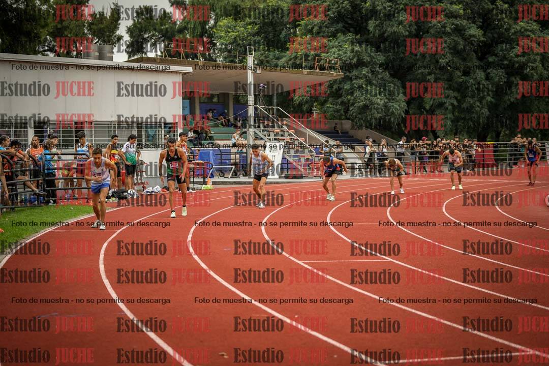 Fotos de los 800 m llanos de varones