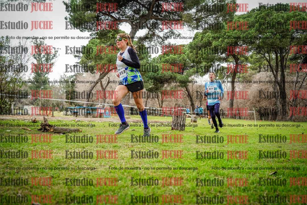 Fotos en el circuito