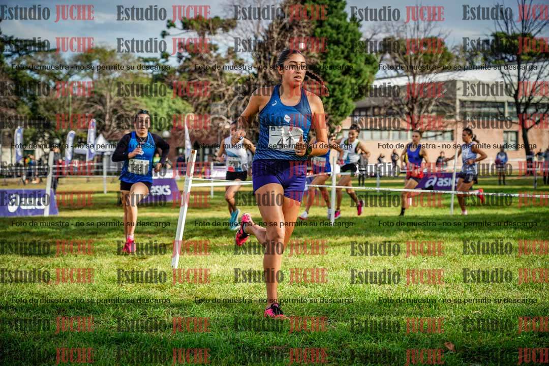 Fotos en el circuito