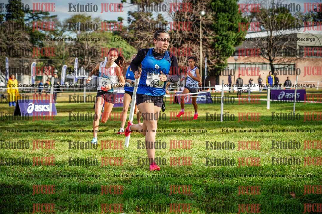 Fotos en el circuito