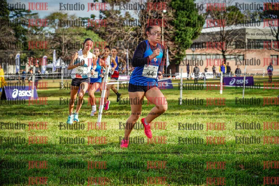 Fotos en el circuito