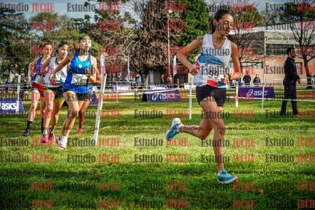 Fotos en el circuito
