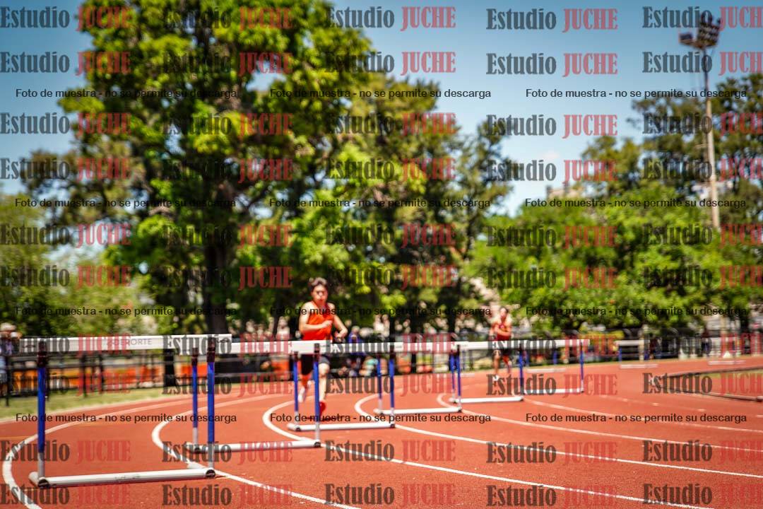 Fotos de los 400 m con vallas de varones