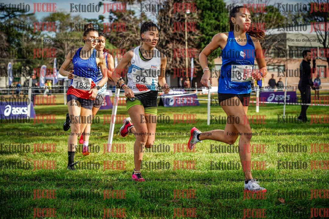 Fotos en el circuito