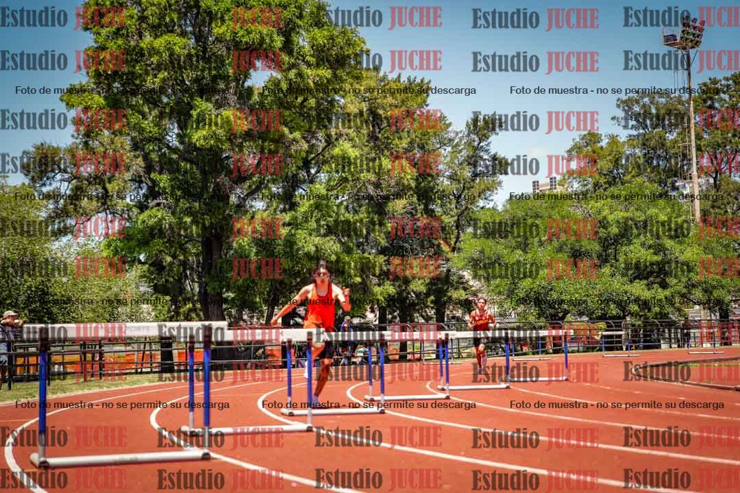 Fotos de los 400 m con vallas de varones