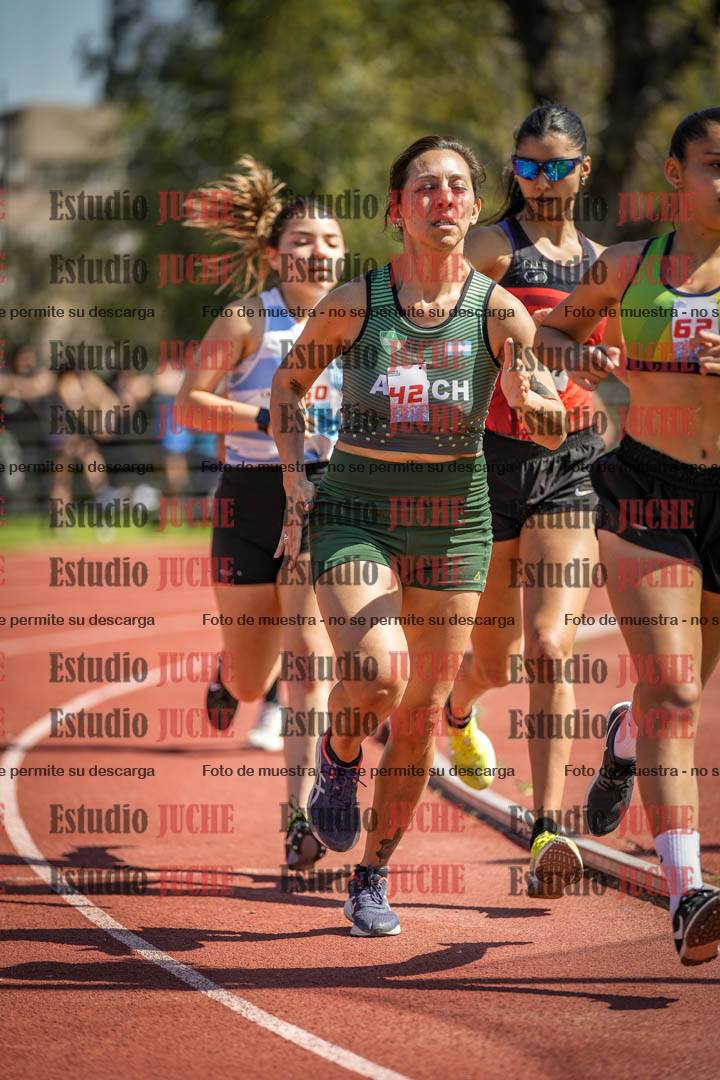 Fotos de los 1500 m llanos de mujeres